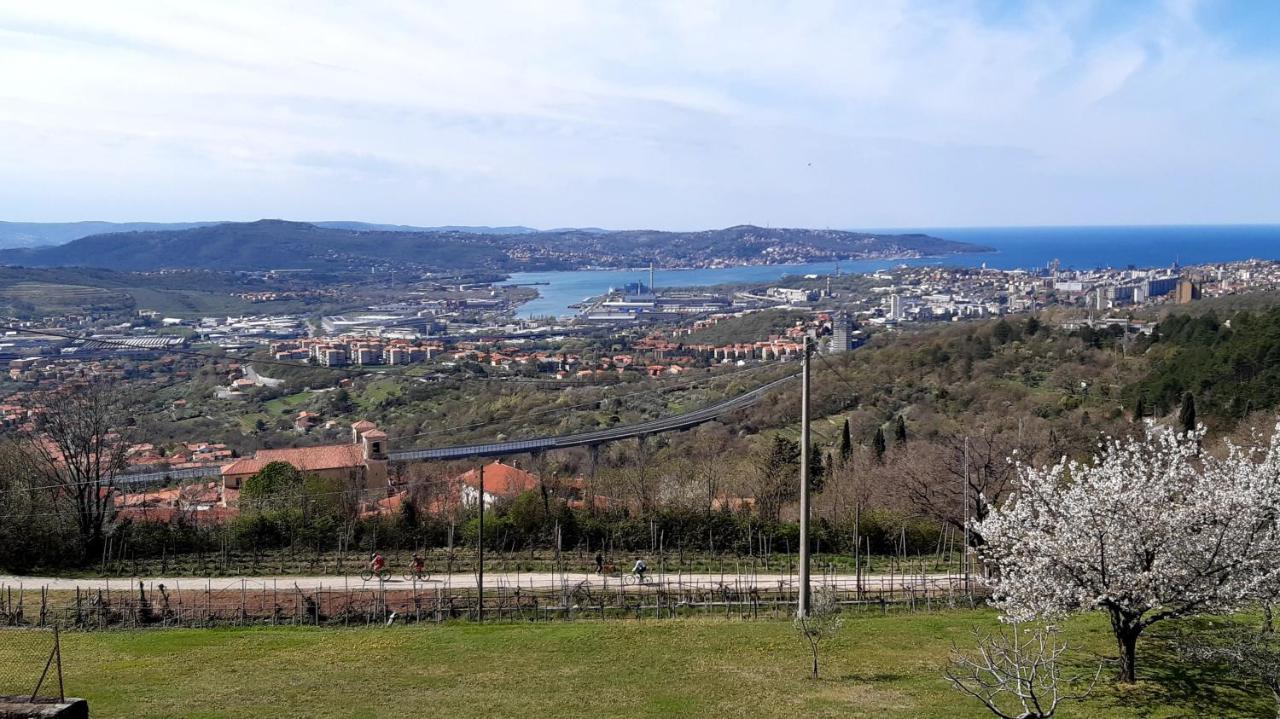 Bellavista Trieste San Dorligo della Valle Exterior foto